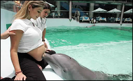 Bebeðiniz Sizi Kýsýtlamasýn