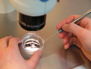 'Tüp bebek'te kadýnýn yaþý çok önemli!