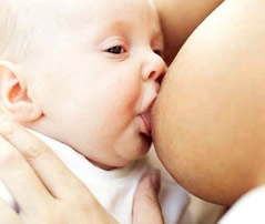 

Anne Sütü ile Ýlgili Merak Edilenler  
